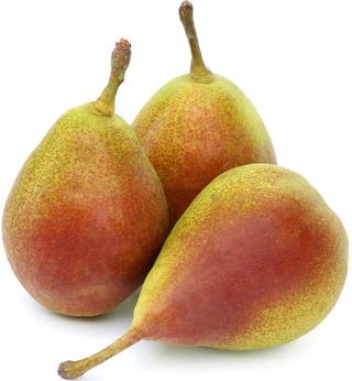 Груша Лесная Красавица ( За 500 Гр.)