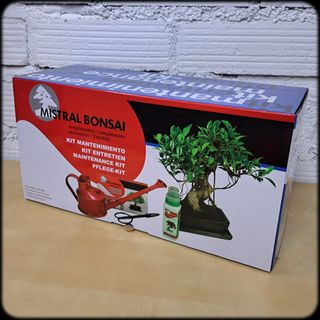 kit de mantenimiento de bonsai