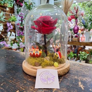 Cúpula "Reina de Corazones"