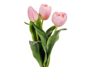 Розови лалета 3 бр