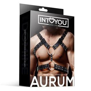Aurum Arnés Masculino Para Bondage