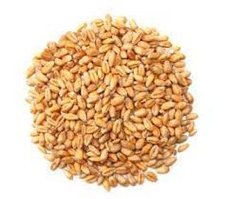 Avena Pelada Ecológica (250 Gr Aprox)