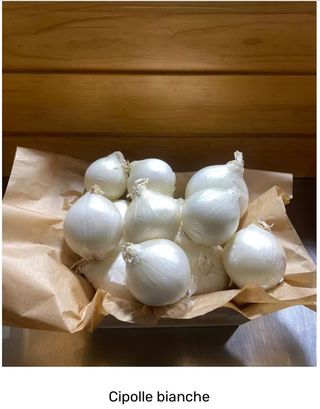 Cipolle bianche Italia 500 g