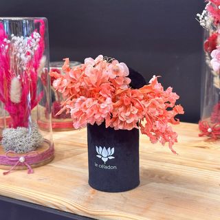 Le céladon chapeau v2