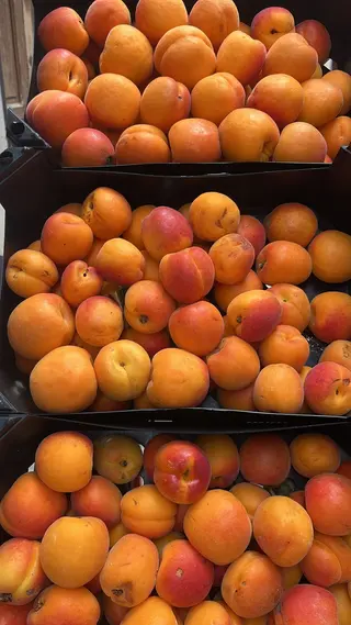 Albicocche 1 kg