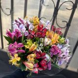 15 гілок альстромерії