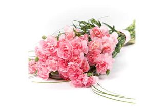 Bukiet z 9 różowych goździków