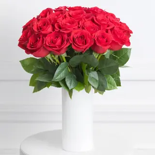 Rosas rojas premium (12 uds.)