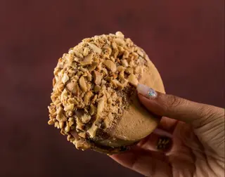 Sandwich Helado de turón