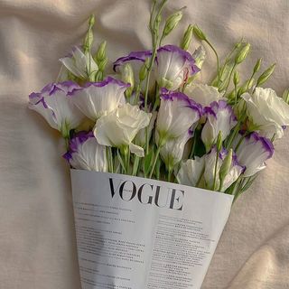 იასამნისფერი ომბრე ეუსტომა