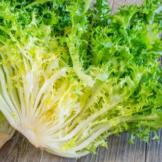 Insalata indivia riccia 600gr