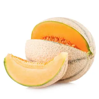 MELONE CANTALUPO