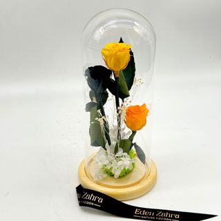 Cloche Orange Shades