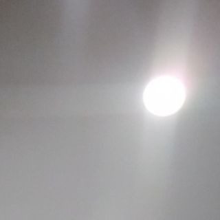 Pantera rosa pizza speciale