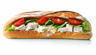 Panino al tonno