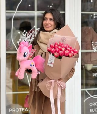 Светлые мечты + Пони