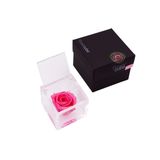 Rosa preservada Flowercube 6x6 Color Rosa