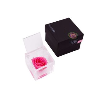 Rosa preservada Flowercube 6x6 Color Rosa