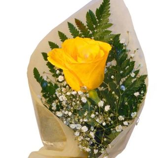 Una Rosa Amarilla, Celofán