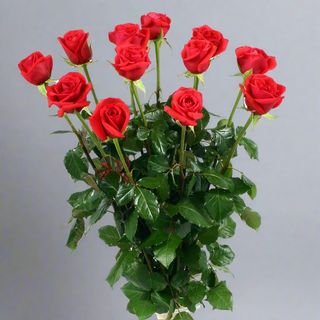 Bukiet 7 Czerwonych Róż