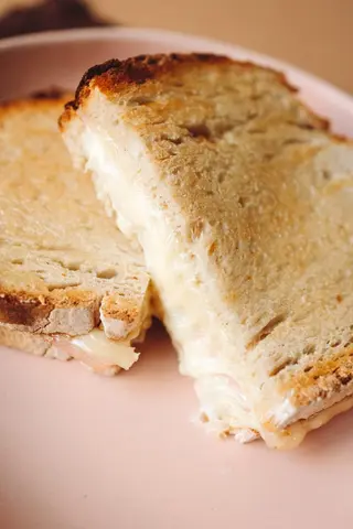 Tosta Saloia