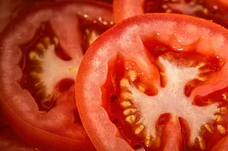 paradajz salata