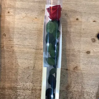 Rosa eterna por unidad roja