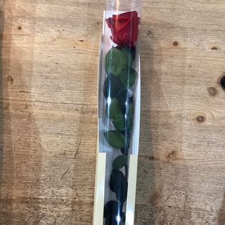 Rosa eterna por unidad roja