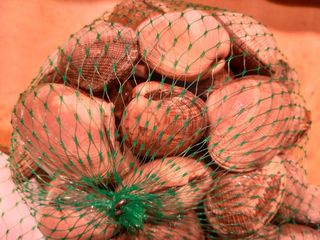 Almeja gallega extra gorda 1kg