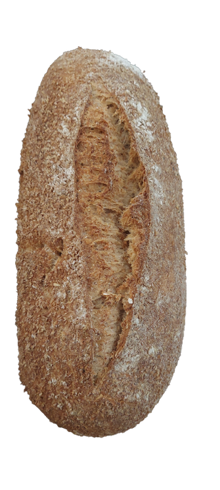 Pan Fibra Plus 500 Gr