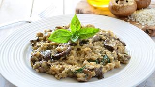 Rižoto sa piletinom, tartufima i vrganjima