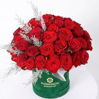 Композиція "Лід і полум'я" 