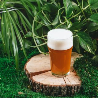 БАРХАТНОЕ  (1 л.)