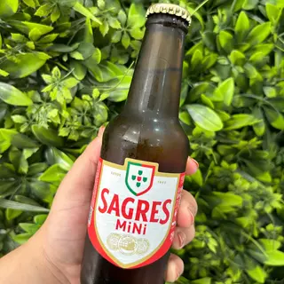 Mini Sagres 