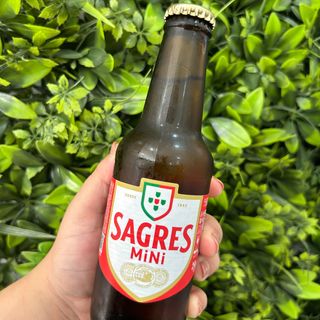 Mini Sagres 