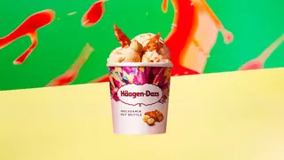 Macadamia Nut Brittle 460ml