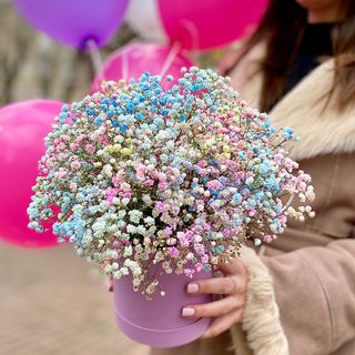 Композиція  № 6