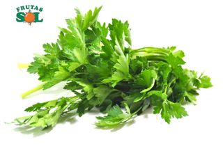 Perejil (1 Manojo)