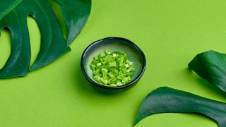 Dodatkowy szczypiorek