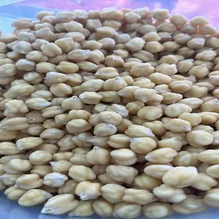 Garbanzos en romojo 1 Kg.