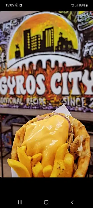 NK gyros 370g