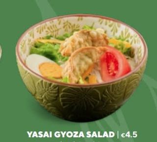 Yasai gyoza salad