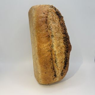 Motlle Espelta I Llavors