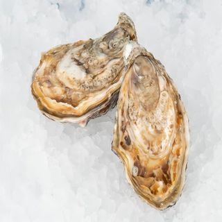 Ostron Frances (Grande)