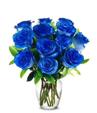 11 roses blue