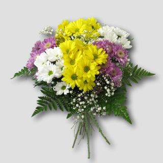 Ramo Seis Margaritas