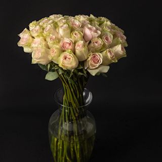 Ramo 50 rosas fruteto