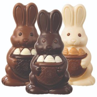 Panorama com Coelho de Chocolate