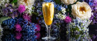 Flute Mango e Passion Fruit