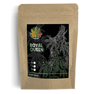 Royal Queen - White Widow 10g